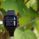 Imagen para el artículo titulado Omate Truesmart: cómo no hacer un smartwatch y smartphone en uno